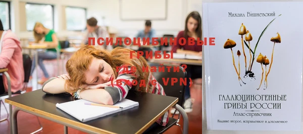 дживик Гусев