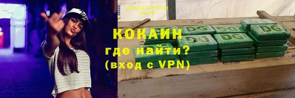 spice Гусиноозёрск