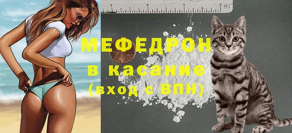 spice Гусиноозёрск